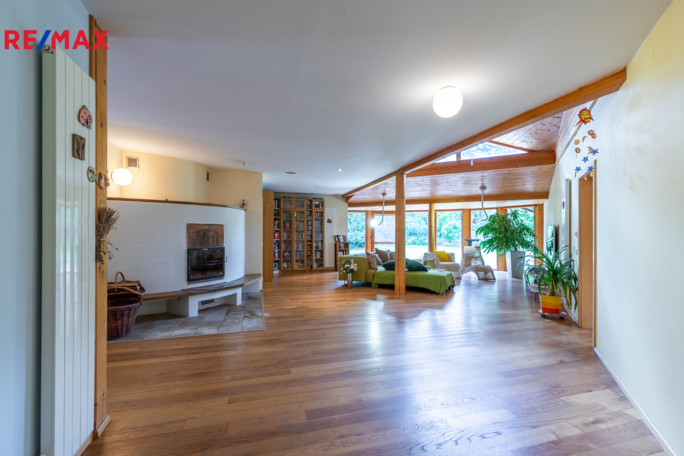 REMAX Delux REMAX Delux