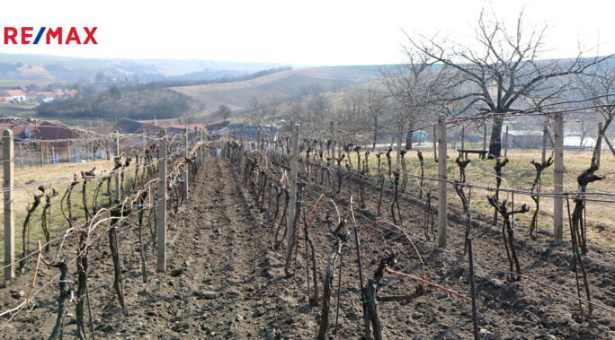 Realitní kancelář Brno