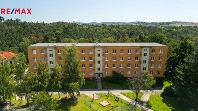 2943541.jpg