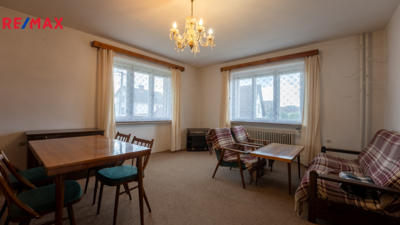 REMAX Delux