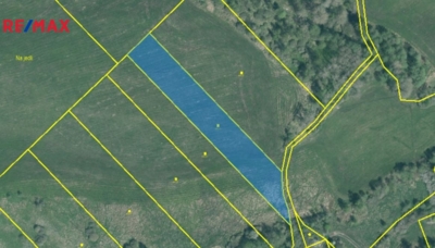 REMAX Delux REMAX Delux