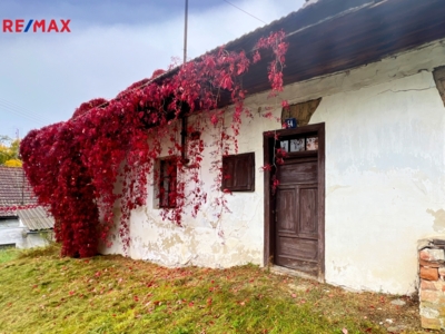 REMAX Delux REMAX Delux