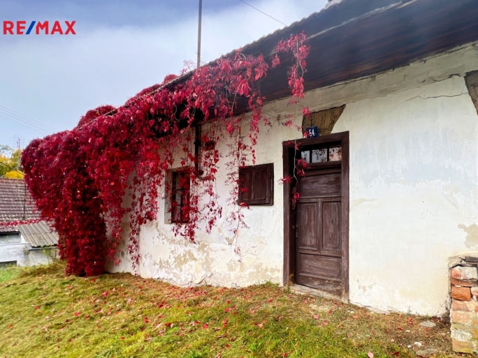 REMAX Delux REMAX Delux