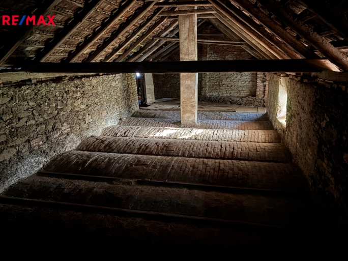 3029358.jpg 3029358.jpg