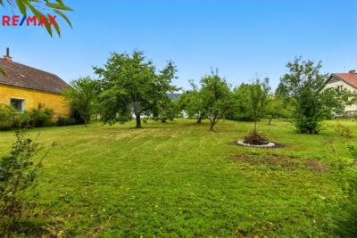 2994423.jpg 2994423.jpg