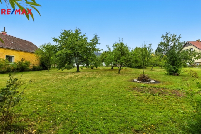 2994423.jpg 2994423.jpg