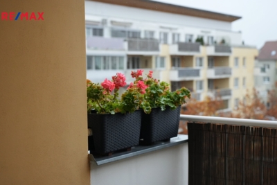 Prodej nemovitostí Brno Prodej nemovitostí Brno