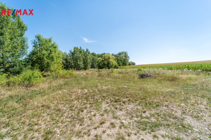 Prodej pozemku pro bydlení, 12306 m2, Šakvice - obrázek 8
