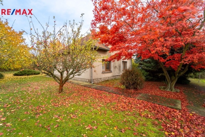 REMAX Brno REMAX Brno