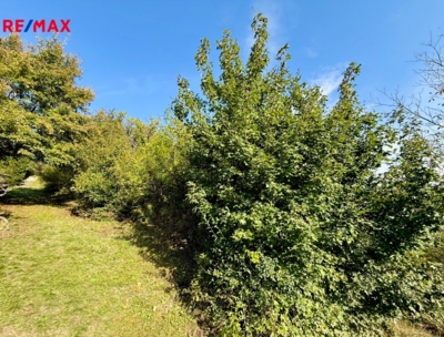 REMAX Brno REMAX Brno