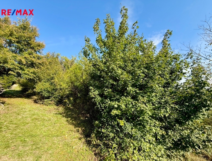 REMAX Brno REMAX Brno