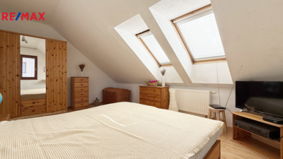 REMAX Delux
