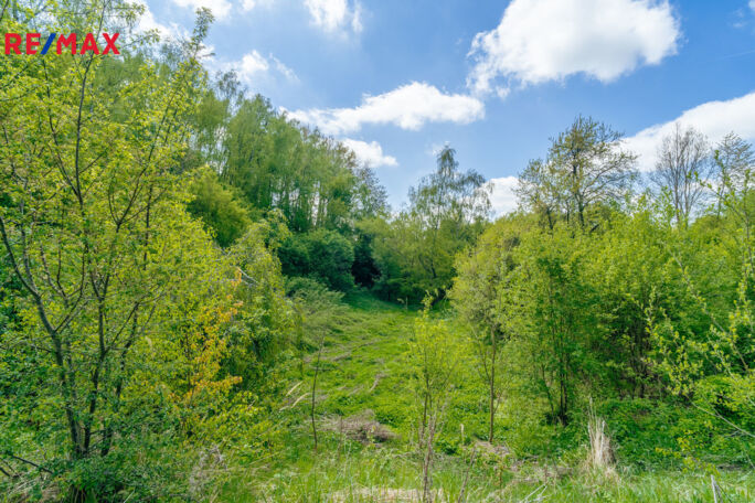 Prodej pozemku pro bydlení, 28310 m2, Střítež - obrázek 23