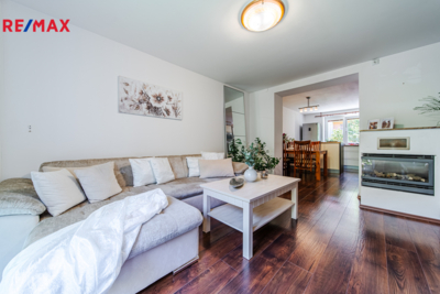REMAX Delux