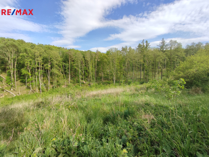 Prodej lesa, 17681 m2, Číměř Prodej lesa, 17681 m2, Číměř