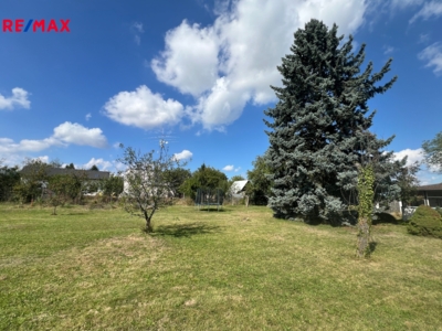 REMAX Delux REMAX Delux