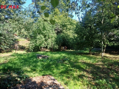 2999495.jpg 2999495.jpg