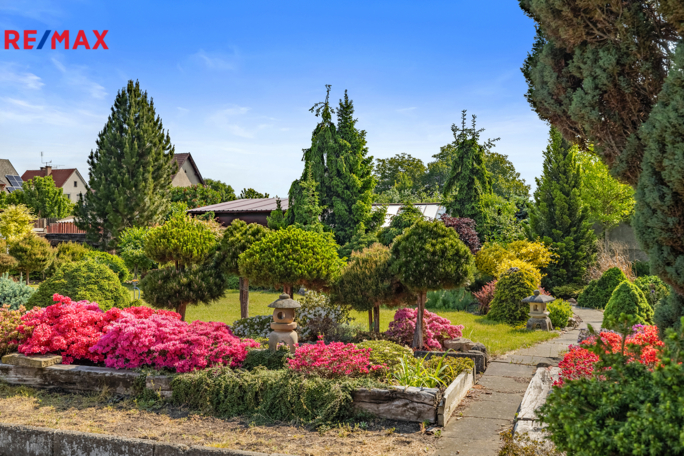 2816114.jpg 2816114.jpg