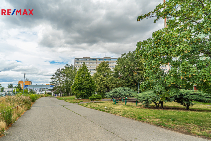 2931717.jpg 2931717.jpg