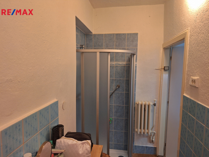 REMAX Delux REMAX Delux