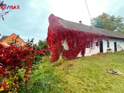 REMAX Delux REMAX Delux