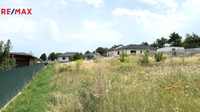 2950536.jpeg 2950536.jpeg