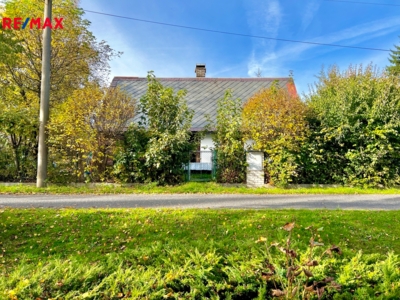 REMAX Delux REMAX Delux