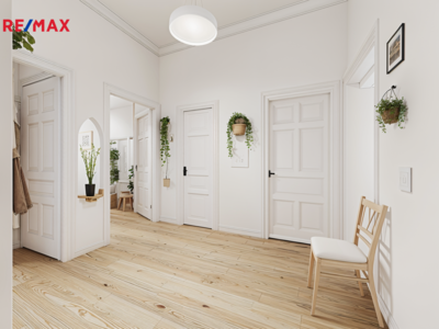 REMAX Delux