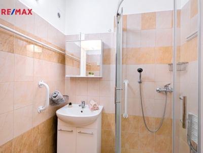 REMAX Brno