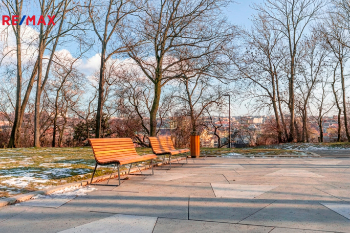 3172891.jpg 3172891.jpg