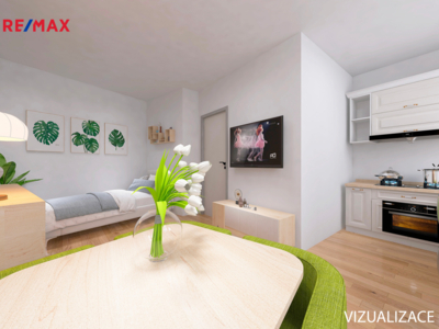 REMAX Brno