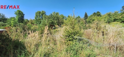 2951817.jpg 2951817.jpg