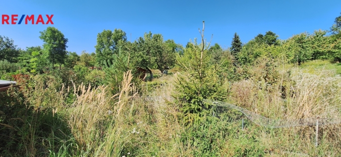 2951817.jpg 2951817.jpg