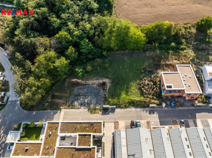 2951381.jpg 2951381.jpg