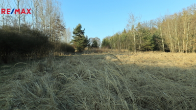 Realitní makléř Brno