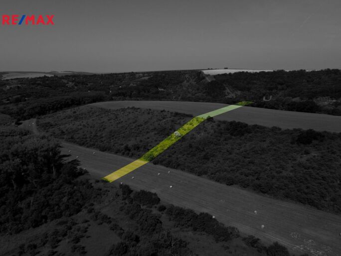 Prodej trvalého travního porostu, 4095 m2, Hustopeče - obrázek 7