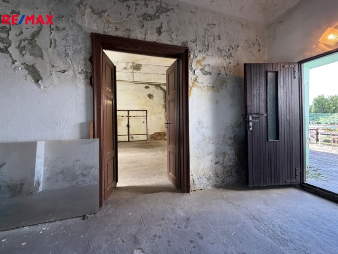 2980532.jpeg 2980532.jpeg