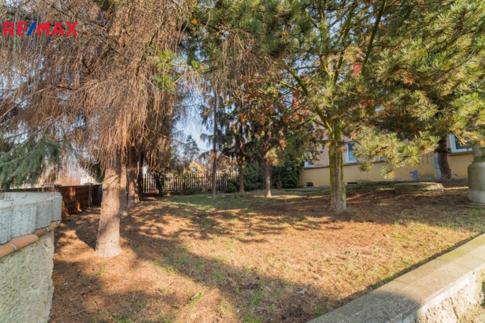 3143979.jpg 3143979.jpg