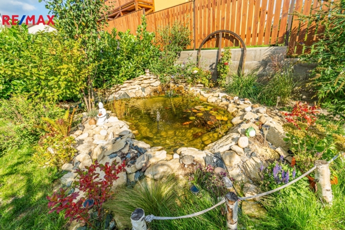 3033853.jpg 3033853.jpg