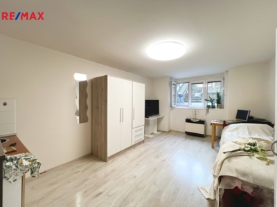 REMAX Delux