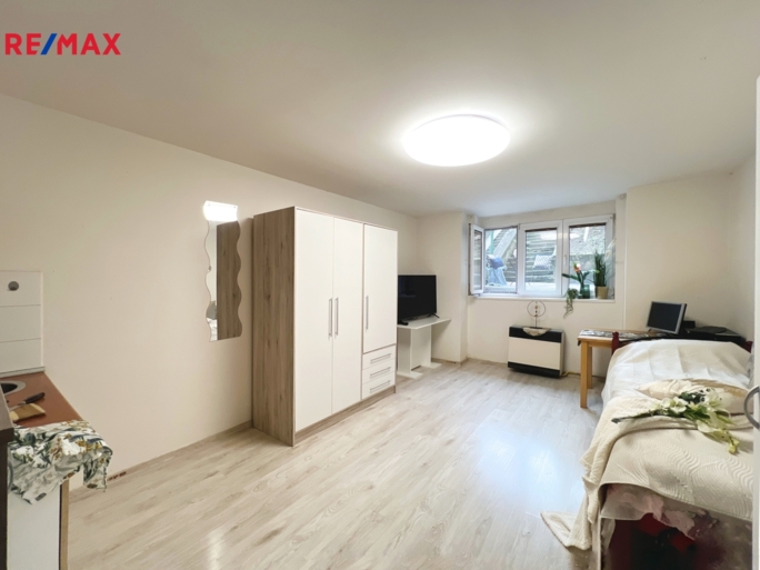 REMAX Delux