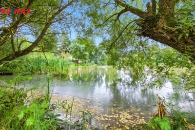 2994421.jpg 2994421.jpg