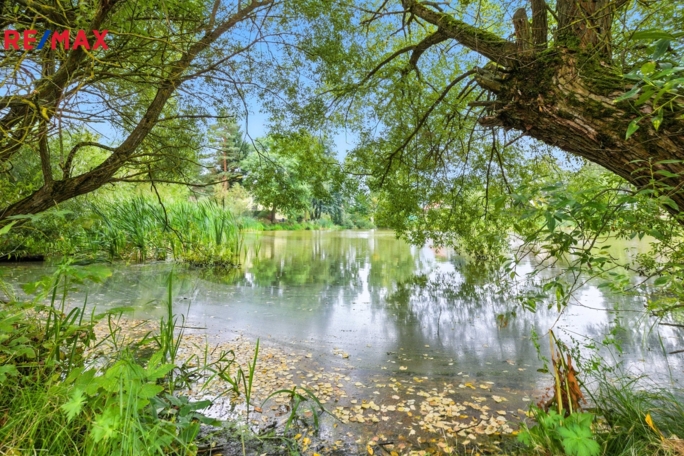 2994421.jpg 2994421.jpg