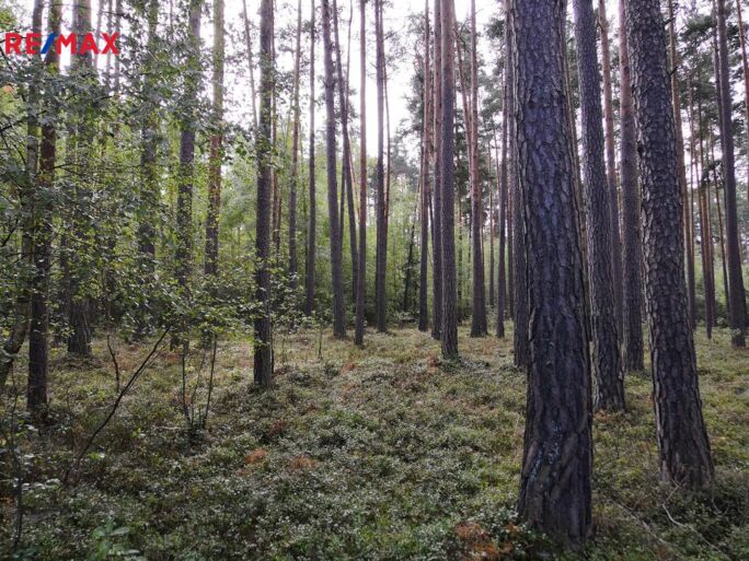 Práce v realitách Brno