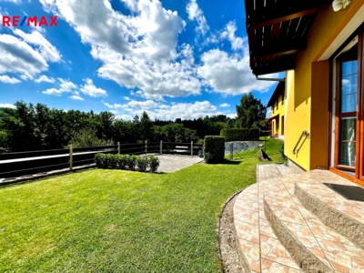 REMAX Delux REMAX Delux