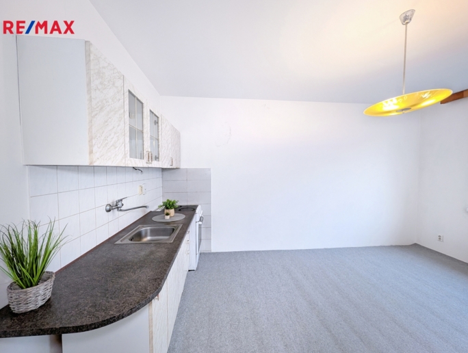 REMAX Delux