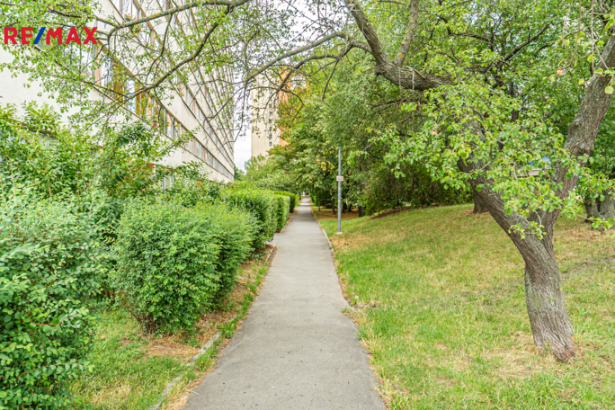 2931727.jpg 2931727.jpg