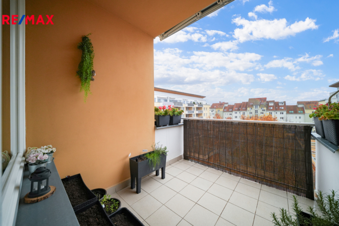 Práce v realitách Brno Práce v realitách Brno