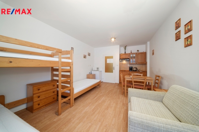 Prodej bytu 1+kk, 30 m2, Ostružná - obrázek 4