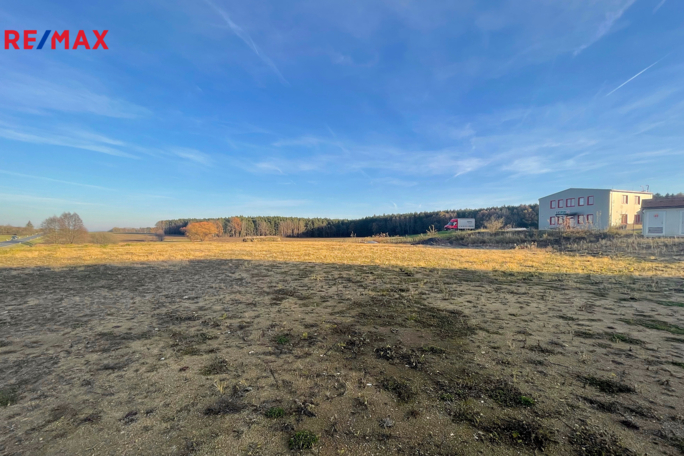 2641264.jpg 2641264.jpg